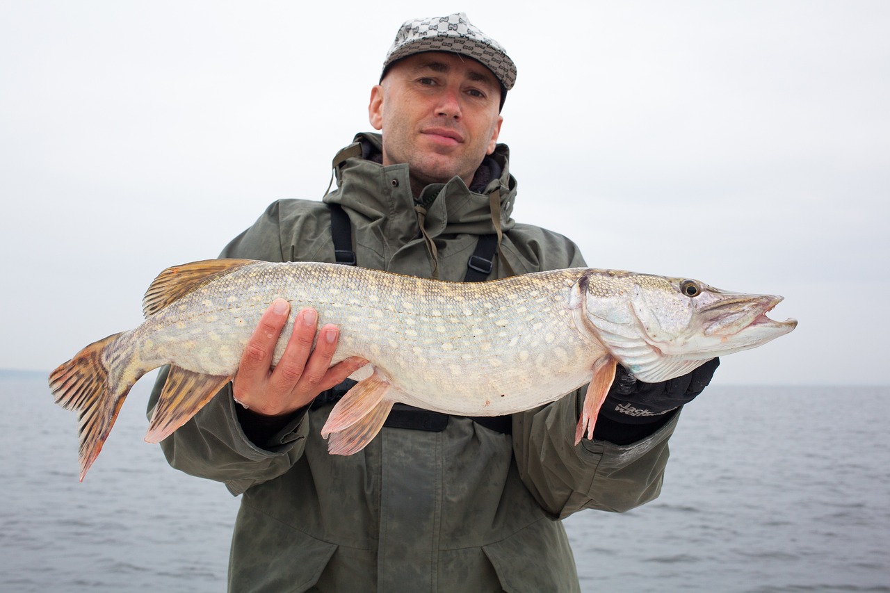 Comment cuisiner un brochet
