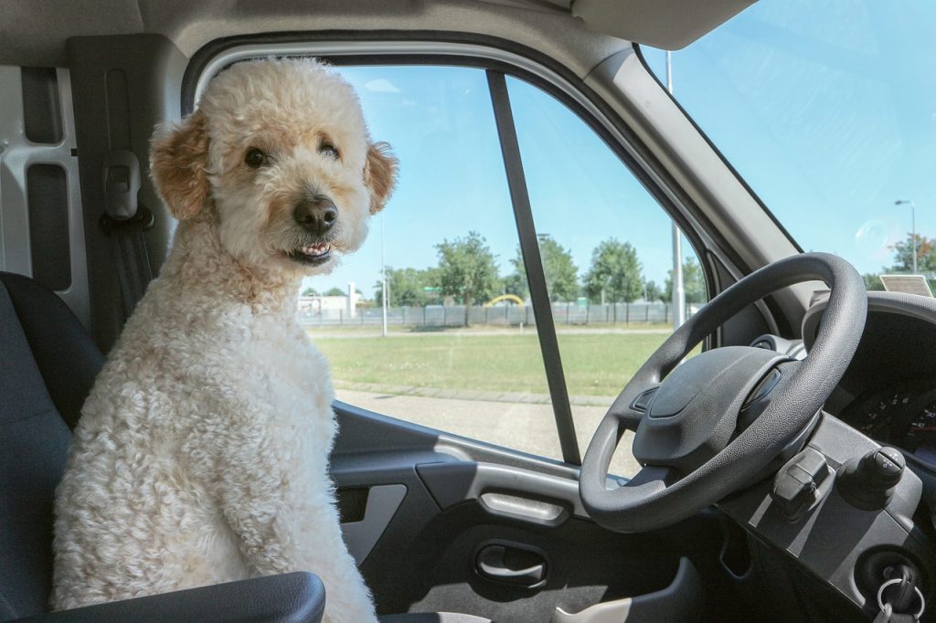 Comparaison des devis d'assurance auto pour les jeunes conducteurs : trouvez l'offre idéale